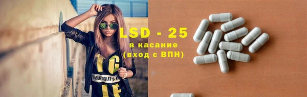 ПСИЛОЦИБИНОВЫЕ ГРИБЫ Абаза