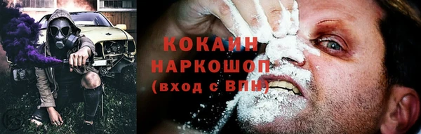 spice Новозыбков