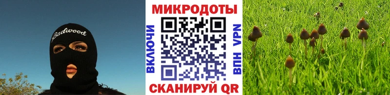 хочу   Моршанск  даркнет телеграм  Псилоцибиновые грибы Magic Shrooms 